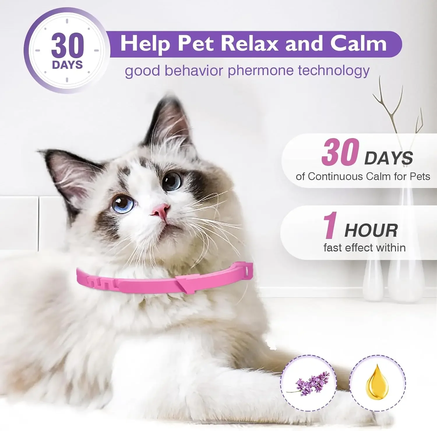 Calming Pet Anxiety Collar 6