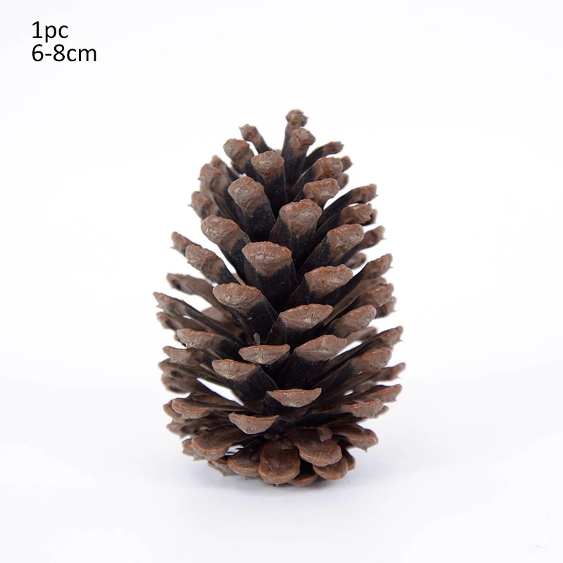 Slide image undefined