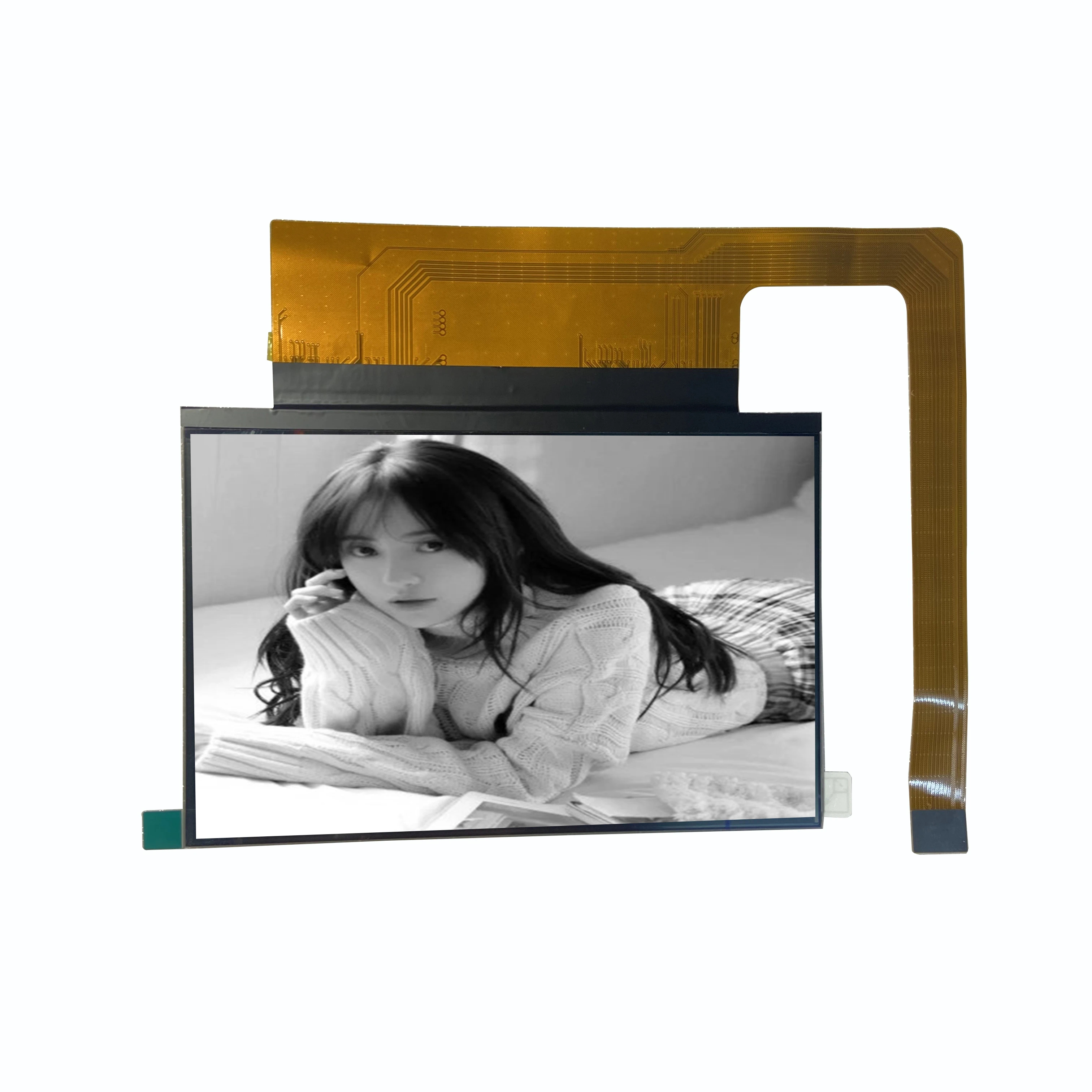 ��� ��ũ���� ���� UV ��ȭ 3D �����Ϳ� ������ 6.23��ġ Photon Mono 4K ��� ��ũ��