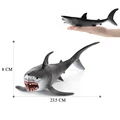 Shark-3