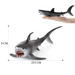 Realistic Ocean Animal Educational Toy Figure Set (Shark - 3)