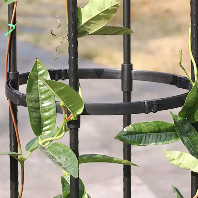 Kerti Obeliszk Rács A Mászó Növényekhez Pe Bevonat Acél Növény Ketrec Virág Tartó Szőlő Rózsák - Image 3