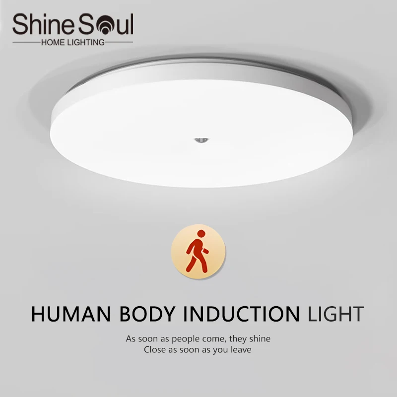 

Induction Light LED Ceiling Light Human Infrared Induction Home Garage Attic Door Front Corridor Staircase Warehouse Light