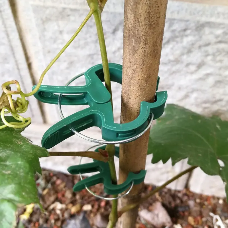 Garden Clip Vegetable Rhizome Flower Branch Plant Plastic Fixed-Clip Gardening-Clip 20 Pcs/Pack Small And Large Each 10PCS plastic plant clips plant clips