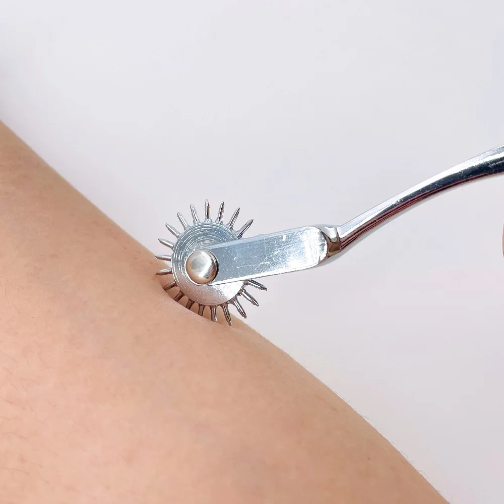 New Stainless Steel Pinwheel Needles Wheel Roller Submissve Fetish Sex Slave Kit Sex Toy Nipple Clitoris BDSM_voghion.com