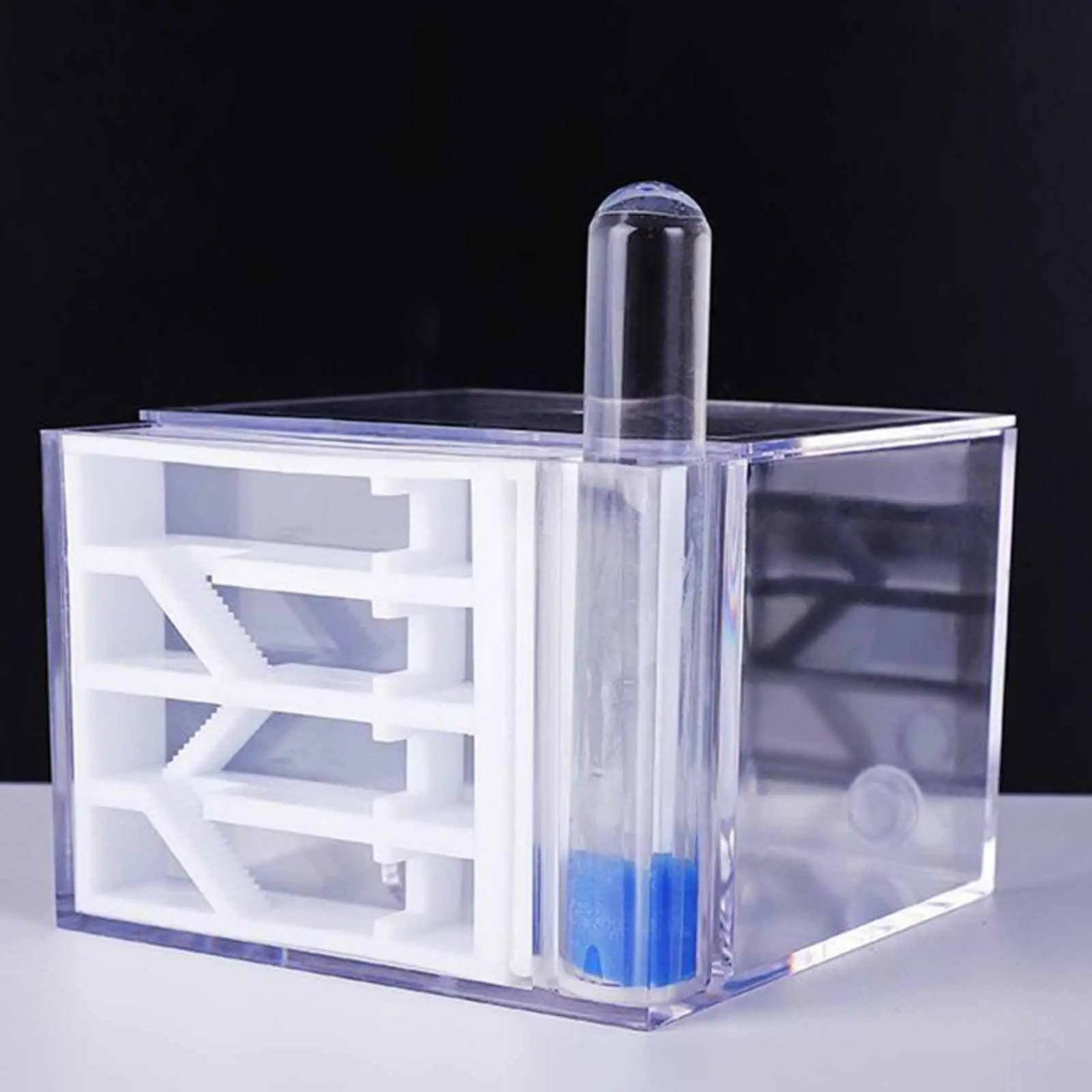 ANT Farm DIY Supplies Funny Toys Study ANT Habitat ANT Nest for Childrens Day Gift Decoration Tabletop Science Observation ANT Farm DIY Supplies Funny Toys Study ANT Habitat ANT Nest for Childrens Day Gift Decoration Tabletop Science Observation