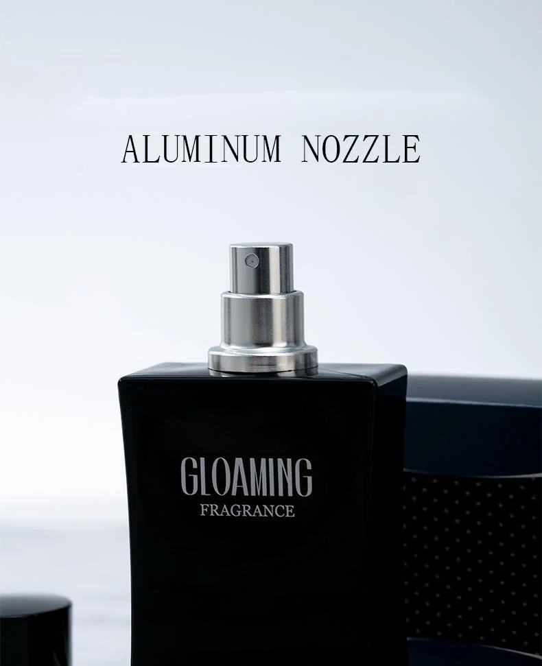 2023 Neues heißes Parfüm Beautiful Gentleman Twilight Herrenparfüm 50ml Spray Langlebiger Duft Holzton Grenzüberschreitender Bestseller_voghion.com