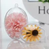 10 Pcs Egg Decoration Box Clear Fillable Ball Transparent Pendants Easter Party Supply Plastic 4
