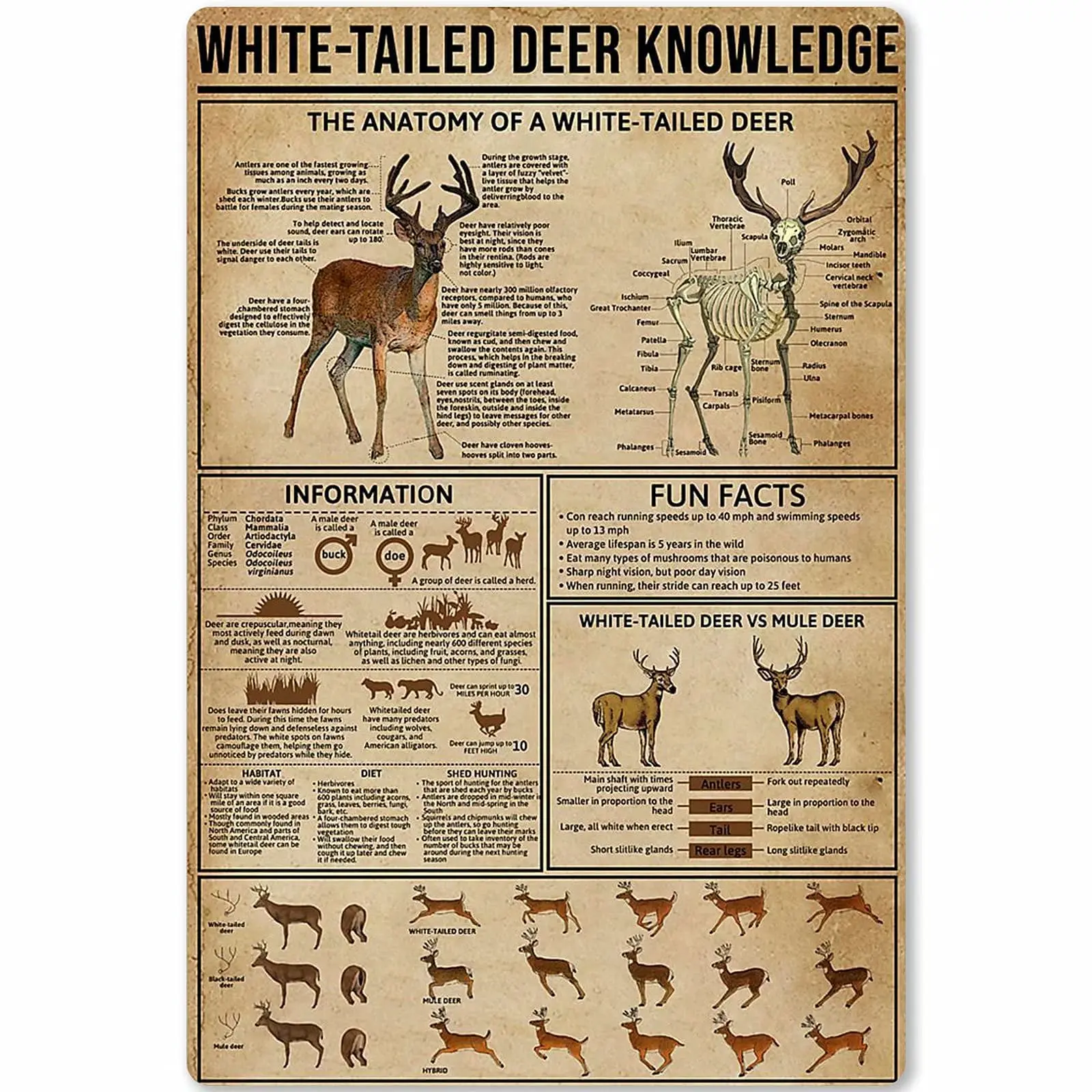 

Veidsuh White-Tailed Deer Knowledge Vintage tin Sign Coffee Shop bar Club Metal Sign Wall Decorative Art Printing Poster 12 * 16