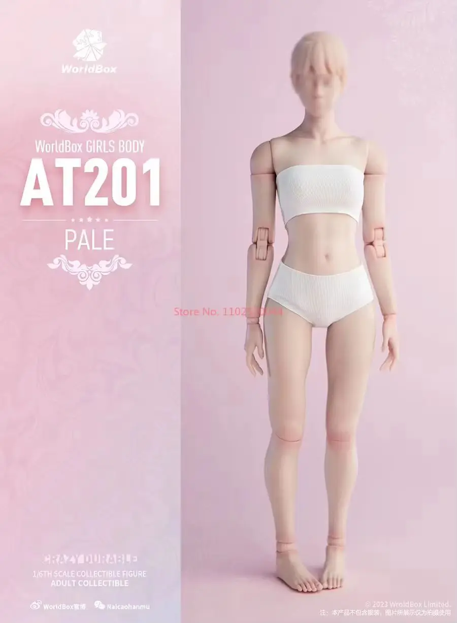 Worldbox At206 At201 At203 1/6 Scale Female Muscle Joint Body Pale
