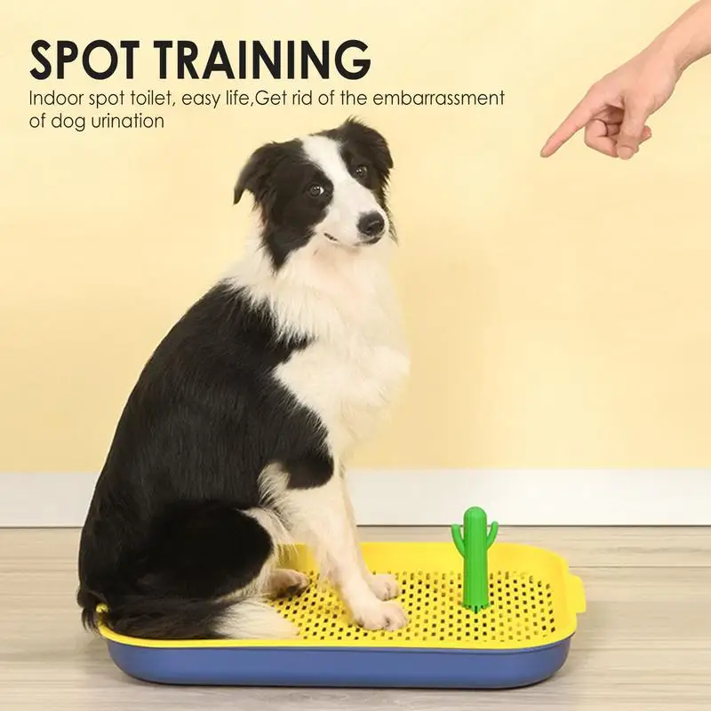 Dog Pet Training Pad Holder Tray Potty Indoor Pee Floor Protection Easy  Cleaning
