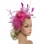 Women Ladies Fascinator Headband with a Clip，Reversible Feather Kentucky Derby Cocktail Tea Party Hat Headwear 12