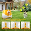 Dog Tennis Launcher Automatic Pet Dogs Chase Toy Mini Tennis Throwing Pinball Machine Fun Interactive Throw Rechargable Catapult 4 Dog Tennis Launcher Automatic Pet Dogs Chase Toy Mini Tennis Throwing Pinball Machine Fun Interactive Throw Rechargable Catapult 4