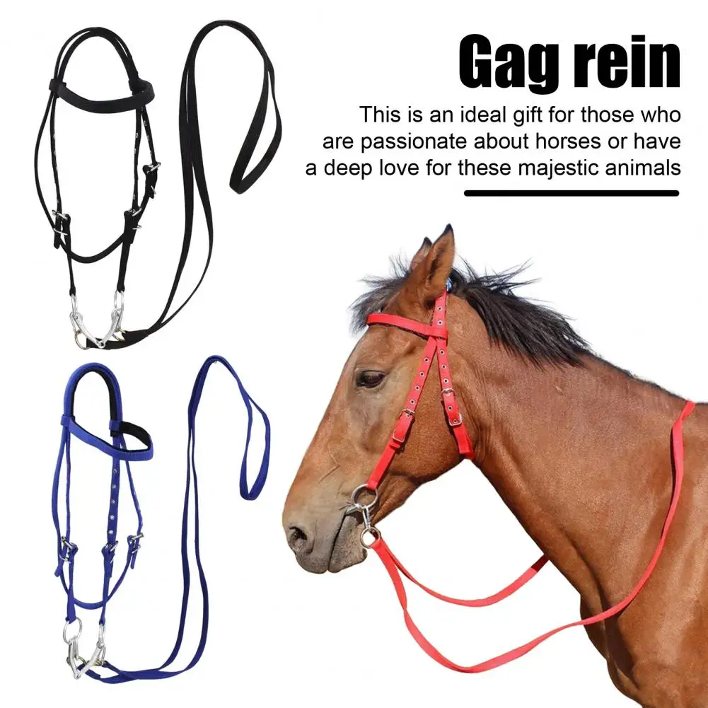 Horse Halter，Adjustable Chin Horse Halter，Plush Padded，Horse Training Equipment，Equestrian Accessories 5