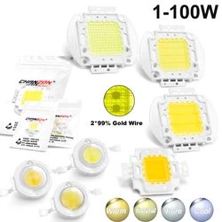 High Power LED Chip Light Bead - Warm, Natural & Cold White Floodlight Bulb Set (10PCS 3W Cool White)