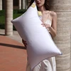 TRIUMPH HILL Hotel Choiceness 100% Down Pillow Core White Goose Down Pillow Core 100% Cotton Help Sleep Can Be Customized Size 6