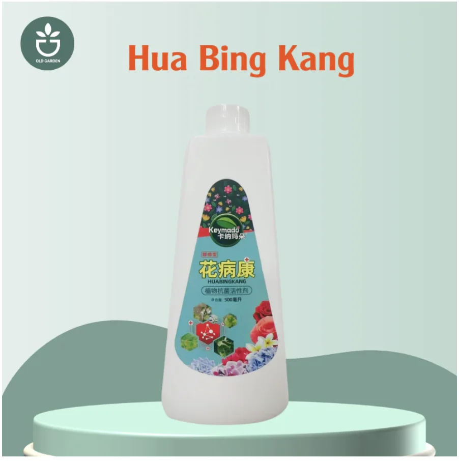 Multi Functional Planting Succulent Plant Eugenin Promotes Budding, Dwarf Fat, Prevents Leggy Organic Granules, Succulent