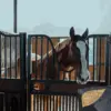 Horse Hay Bales Storage Bag Waterproof Collapsible Bag Hay Bale Tote Bag with Zipper for Horse Goats Hay Storage 5