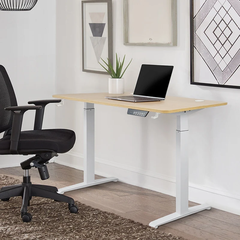 Height-adjustable Desk Standing Desk Motion Smart Computer Study Learning Game Office