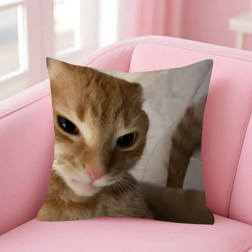 Lustiger Katzen-M-Meme-Kissenbezug, personalisierter Kissenbezug für Kinderzimmer, Wild-Party-Dekoration, Kissenbezug für Kinder, Geburtstagsgeschenk – Detail 14