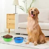 TPE dog bowl cat bowl wear-resistant and durable pet folding bowl travel outdoor drinking water feeding portable pet bowl 4