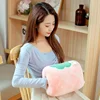 Cartoon Warm Hand Pillow Insert Warm Hand Cover Winter Plush Toy Nap Pillow 3