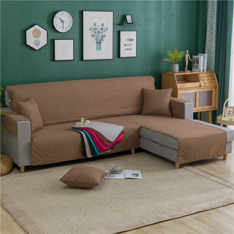 _DSC6068.jpg_.webp _DSC6068.jpg_.webp