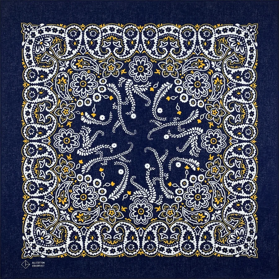 Hip Hop Amoeba Cashew Cotton Square Scarf Bandana Scarf Headband Paisley Gifts Unisex