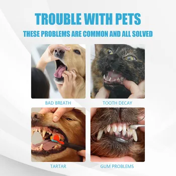 60g Pet Toothpaste Cat Dog Fresh Breath Toothpaste Cleaning Tartar Pet Edible Products Care Deodorant Dog Plaque Oral Tooth R2J5 4