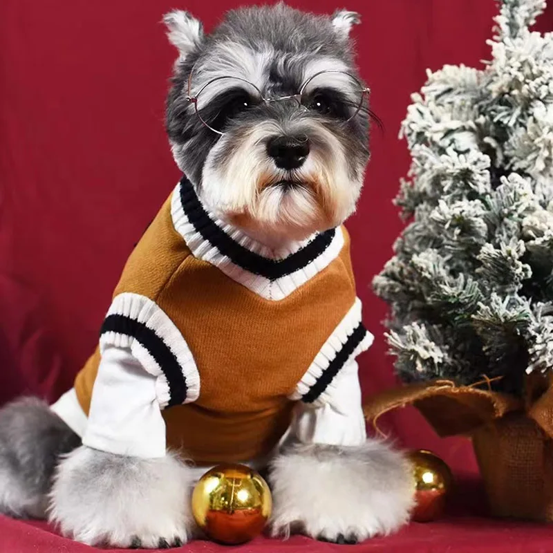 College Style Pet Sweater 3