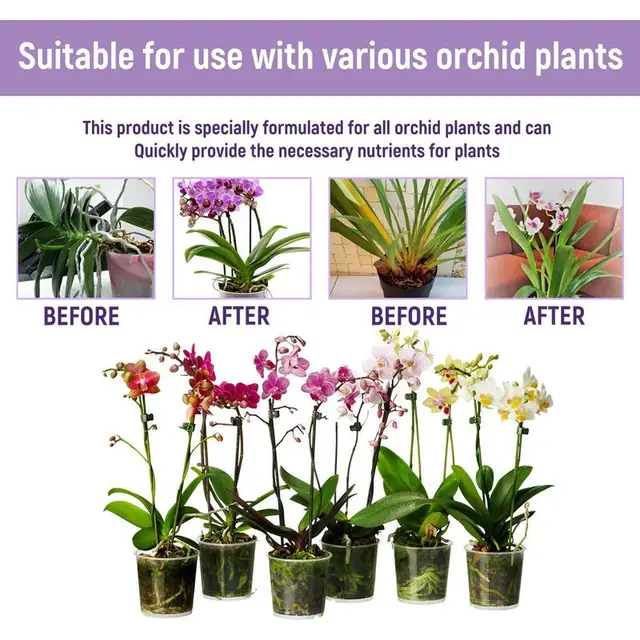 50 Ml -Es Orchidea Növényi Élelmiszer -Műtrágya Növekedés Fokozó Műtrágya Elősegíti A Virágzását Szobanövények Számára - Image 4