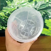 Pot de fleurs transparent à double couche pour le contrôle des racines, pot auto-arrosant pour orchidées, pot pour plantes de pépinière avec trous, fournitures de jardin 6