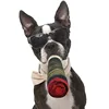 Funny Interactive Dog Toys - Cigar Design Plush Squeaky Pet Toys Grinding Teeth Creative Chew Toy For Small Medium Dog 2