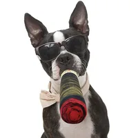 Funny Interactive Dog Toys - Cigar Design Plush Squeaky Pet Toys Grinding Teeth Creative Chew Toy For Small Medium Dog 2