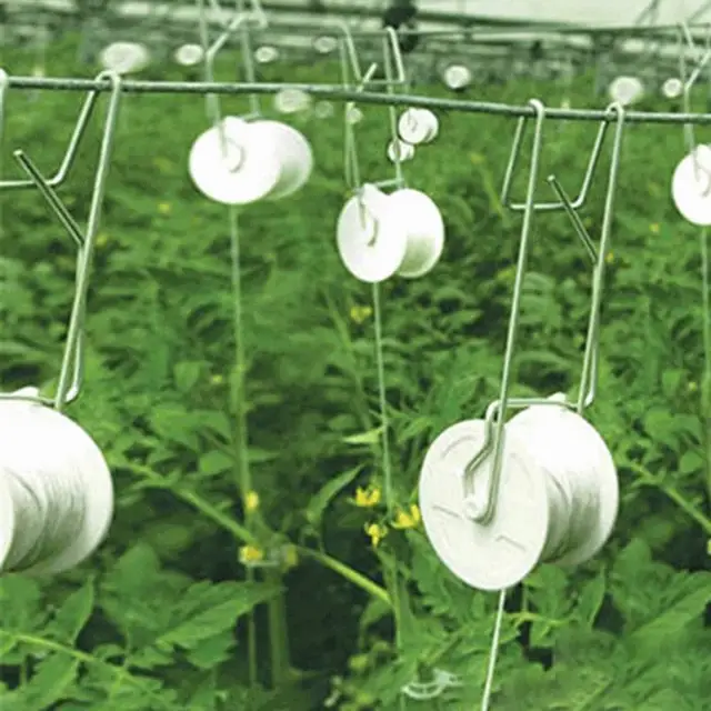 Crop Rácsos Görgőhorog Műanyag Zsineg Fehér Színű Paradicsom Hengerek Könnyen Használható Tartós Szőlő Tartóhorog Az Udvarra - Image 2