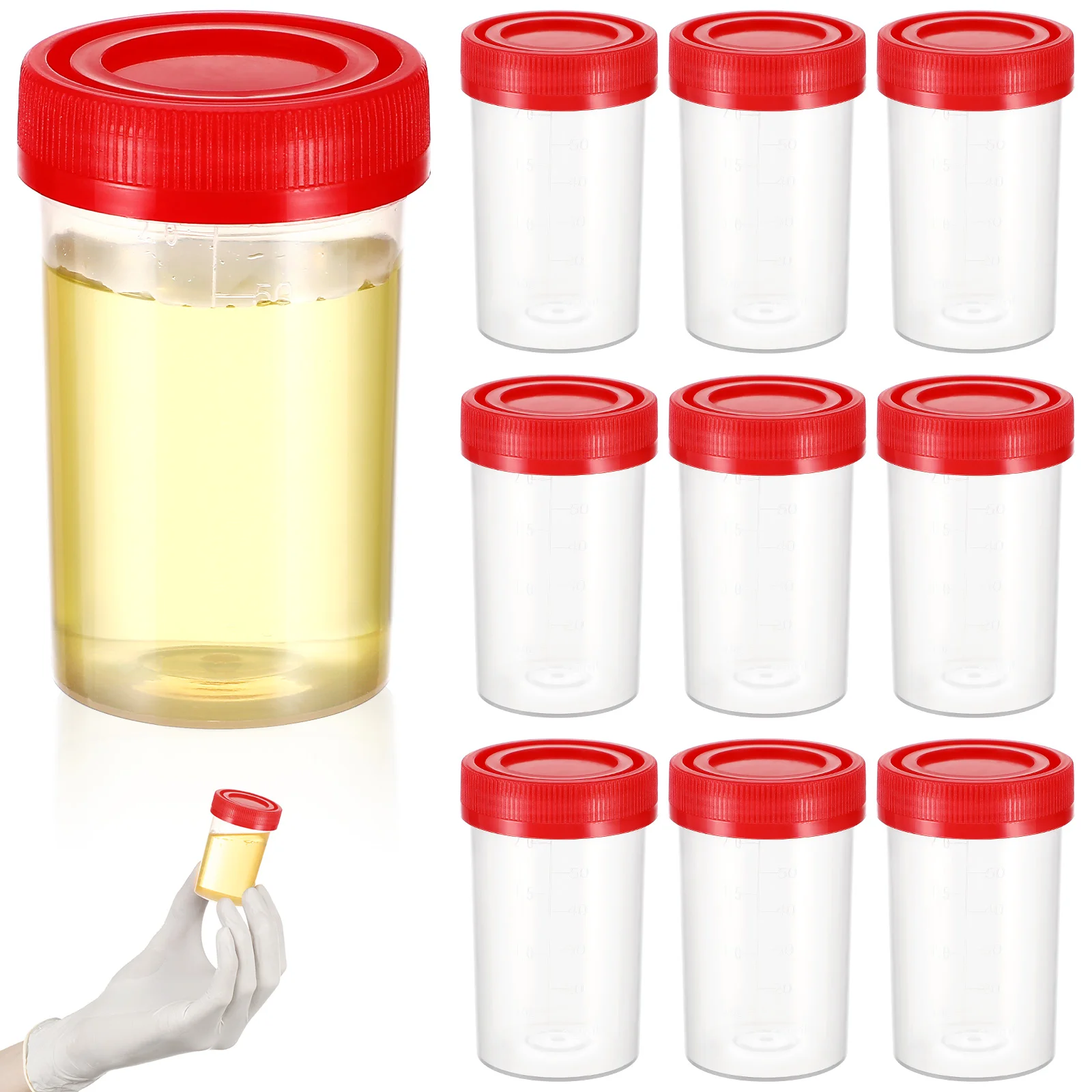 

10 Pcs Sampling Cup Urine Sample Bottles with Lid Makeup Travel Containers Pots Airless for Test Small