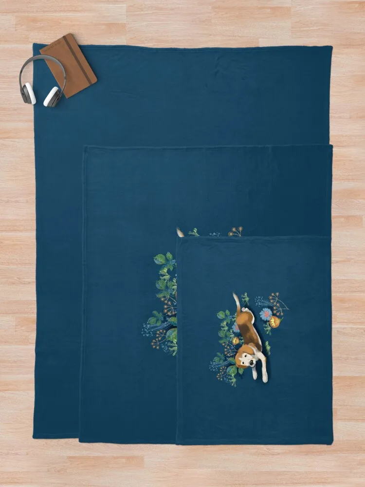 ��������� ��� ��Ʈ �� ������ ���, �� ���� ������ ���