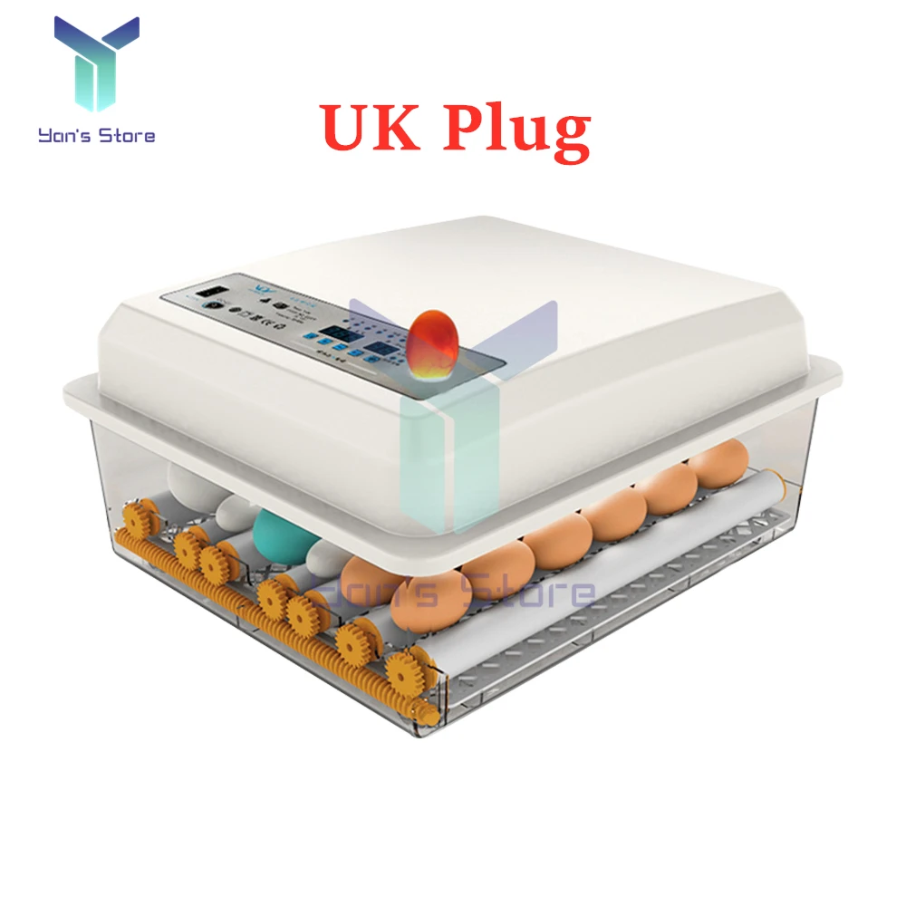 UK Plug