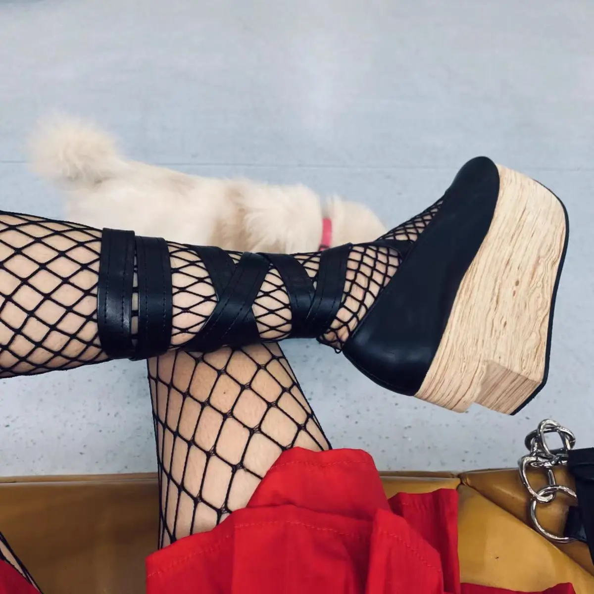 お気に入り♪◇ピテア Clog Sandal◇CELINE CELINE PITEA CLOG IN Suede Calfskin - COGNAC | CELINE