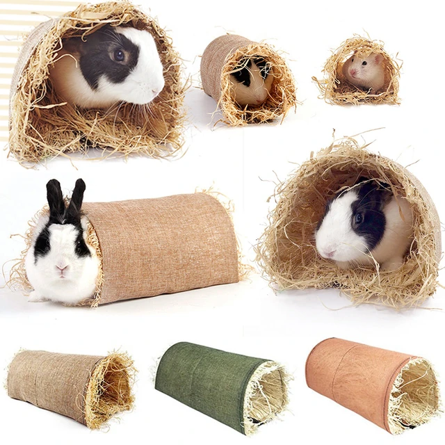 Lapin drôle, jouet caché, Animal, herbe, paille, Tunnel, cochon d'inde,  Chinchilla, furet, hamster, Rats - Type green-S