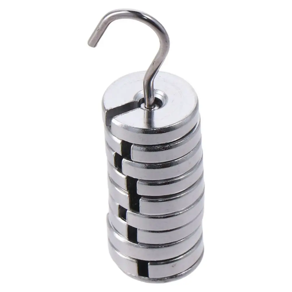 Premium Chromium-Plated Lab Slotted Mass Set Total 100g Silver Metal Slotted Weights 10g Each with Hanger and Case Laboratory
