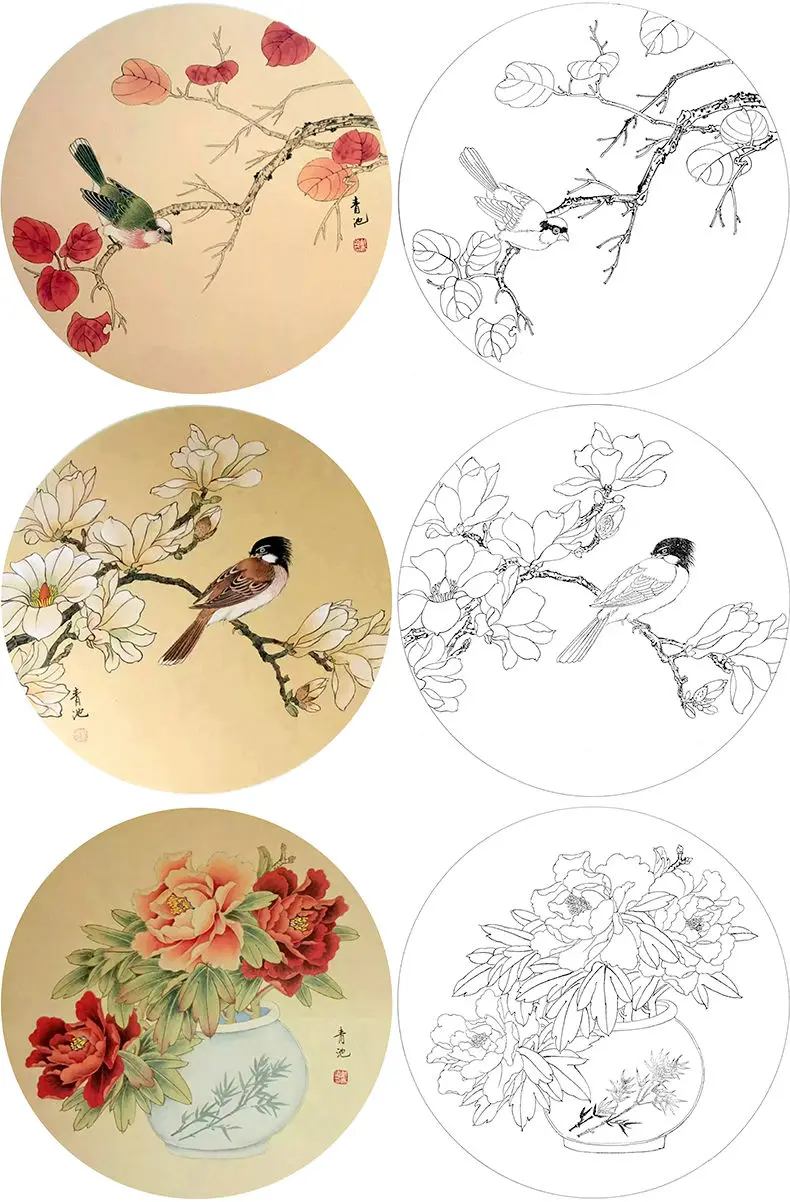 Sorgfältiges Gemälde, runder Fächer, Strichzeichnung, Anfänger, Strichzeichnung, Druck, Manuskript, Papier, traditionelle chinesische Malerei, Blumenvogel – Detail 4