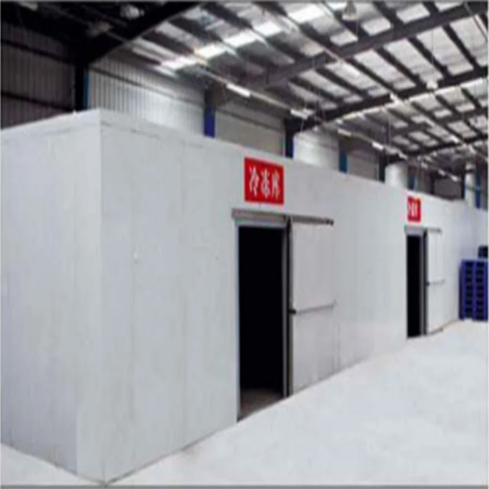45c Freezing Chamber Restaurant Equipment Water Chiller Cold Room With Pump Freezer