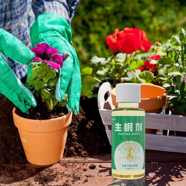 Növényi Gyökér Hormonok Dugványok 50 Ml Gyors Oldat Gyökerező Dugványokhoz Folyékony Növekedési - Image 5