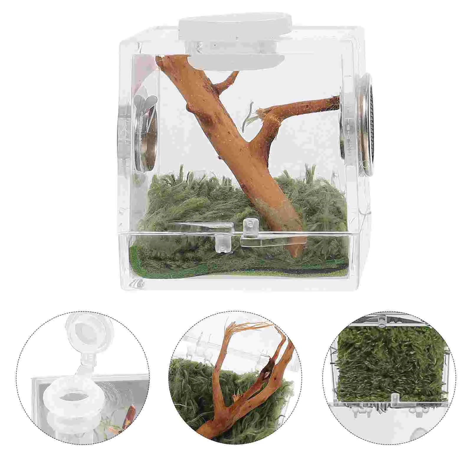 2-Set-Spider-Container-Jumping-Breeding-Box-Humidifier-House-Tarantula ...