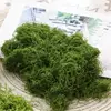20g/bag Simulation vine model grass microlandscape material Artificial moss fo garden accessories suitable fo lawn decoration 4