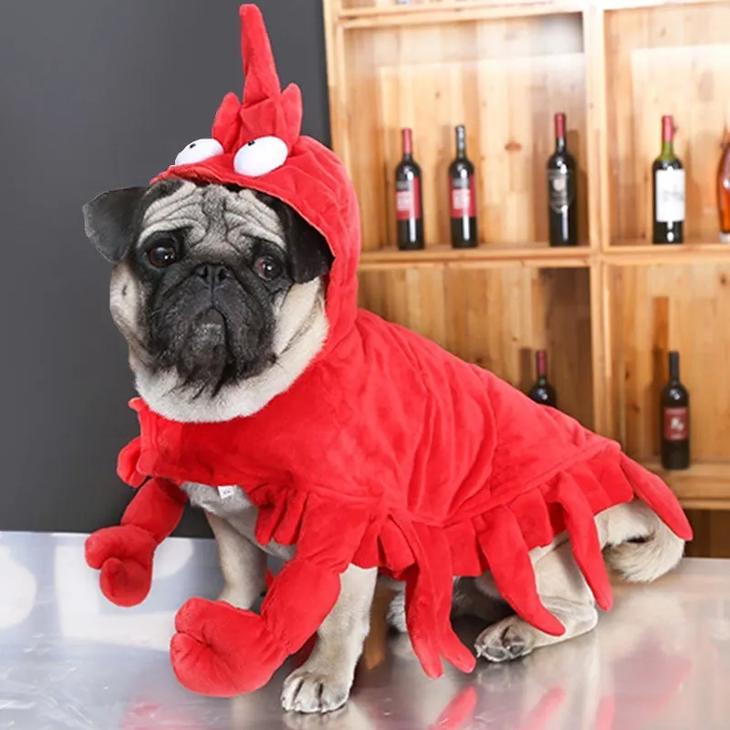 

Dog lobster costume Teddy Pug Halloween clothes red role play pet clothes