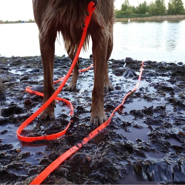Waterproof Dog Leash Long Pvc Pet Leashes Easy To Clean Rope for Small Medium Large Big Dogs Walking Traning Lead 3m 5m10m 15m 3