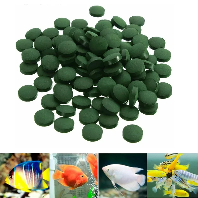 Spirulina Fish Tablets Spirulina Fish Food Fish Food Tablets Spirulina Shrimp Fish Food