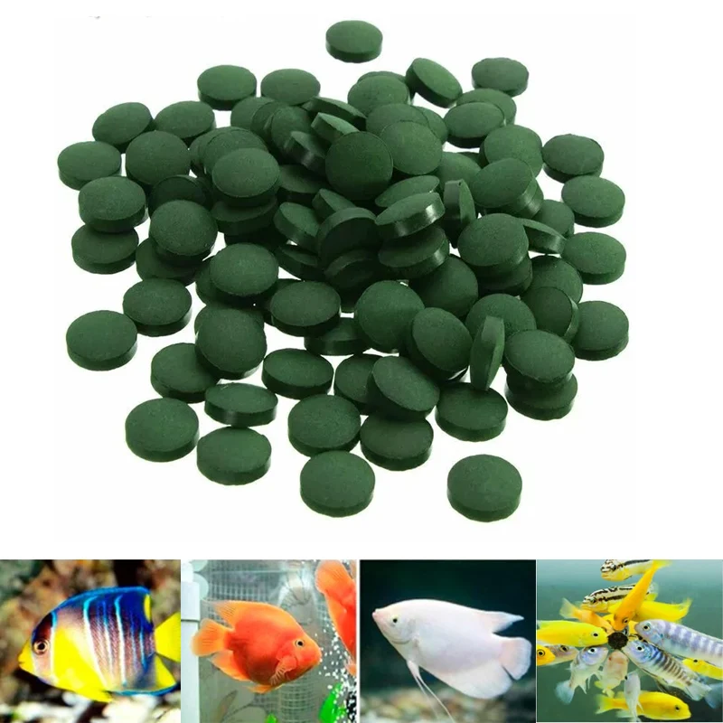 SpirulinaPetFoodPeixeEnriquecimentoTabletsCristalCamaroVermelhofavorito100pcs.jpg